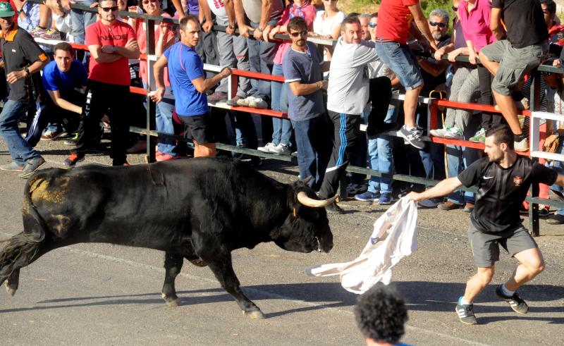 Encierro del sábado por la tarde en Olmedo