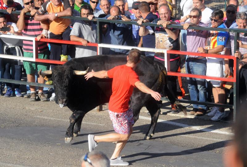 Encierro del sábado por la tarde en Olmedo