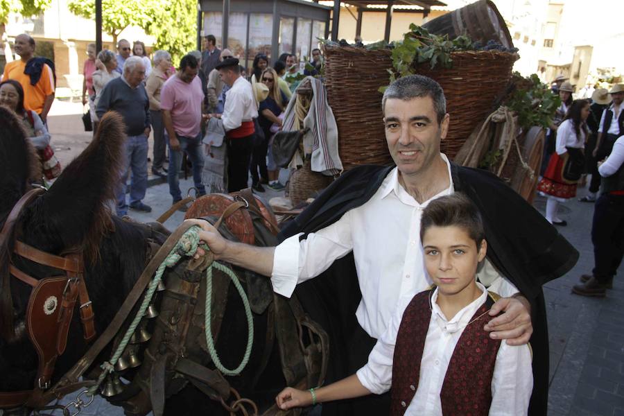 Fiesta de la vendimia en Peñafiel (1/2)