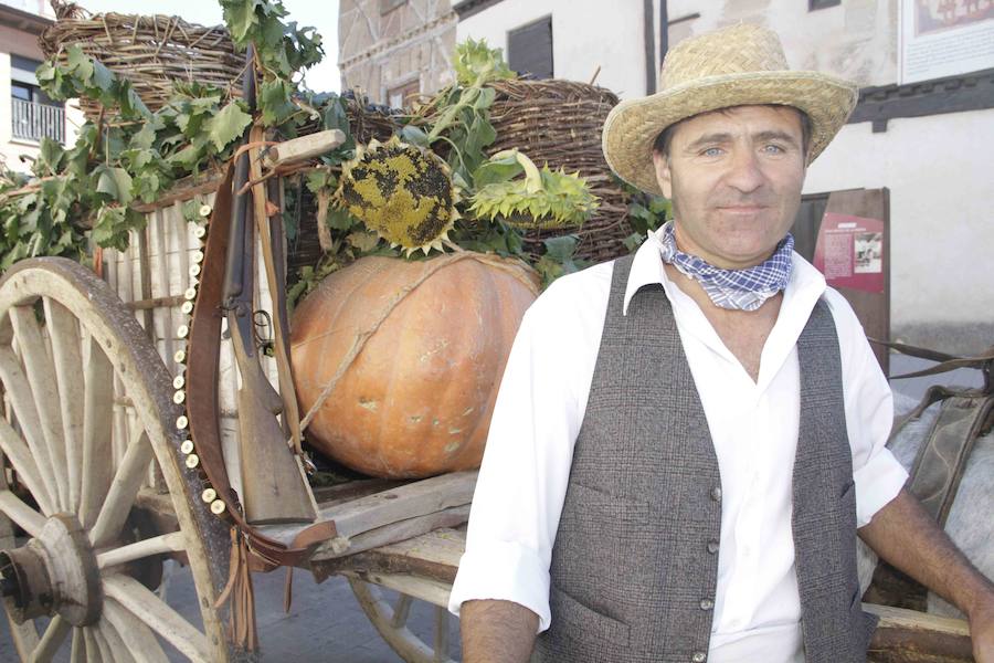 Fiesta de la vendimia en Peñafiel (1/2)