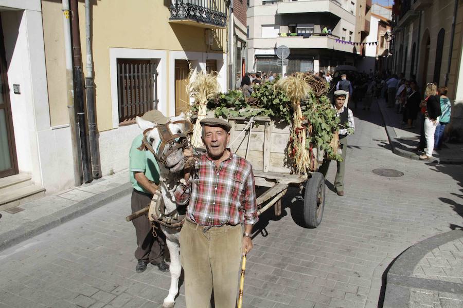Fiesta de la vendimia en Peñafiel (1/2)
