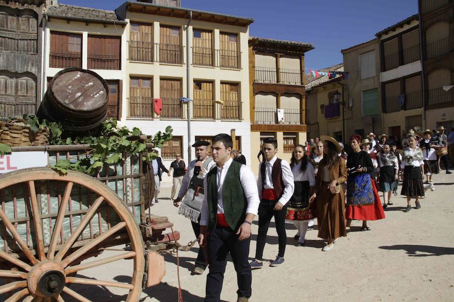 Fiesta de la vendimia en Peñafiel (2/2)