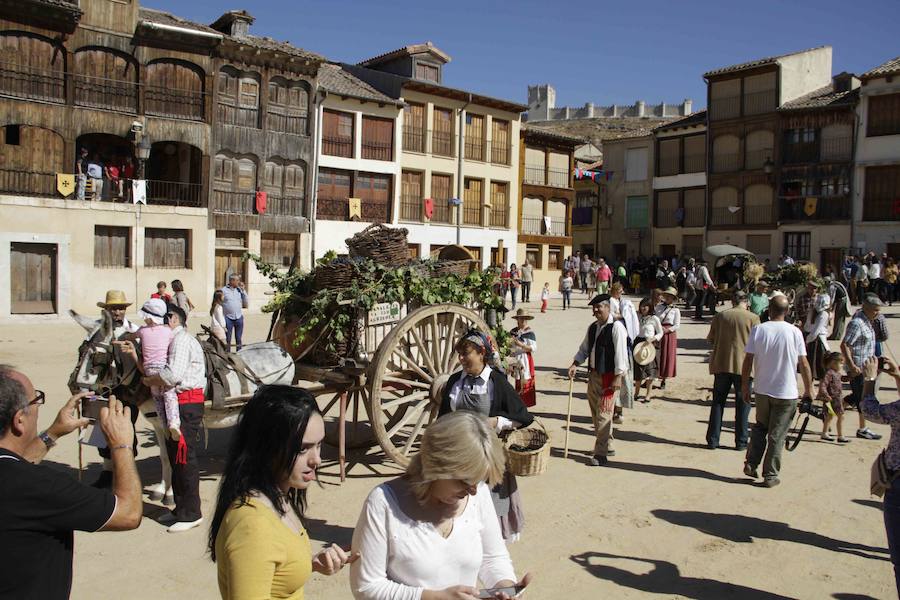 Fiesta de la vendimia en Peñafiel (2/2)