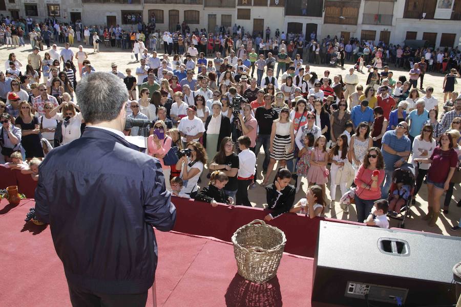 Fiesta de la vendimia en Peñafiel (2/2)