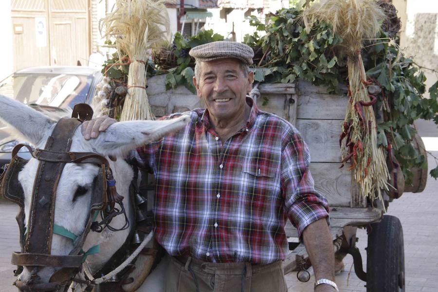 Fiesta de la vendimia en Peñafiel (2/2)