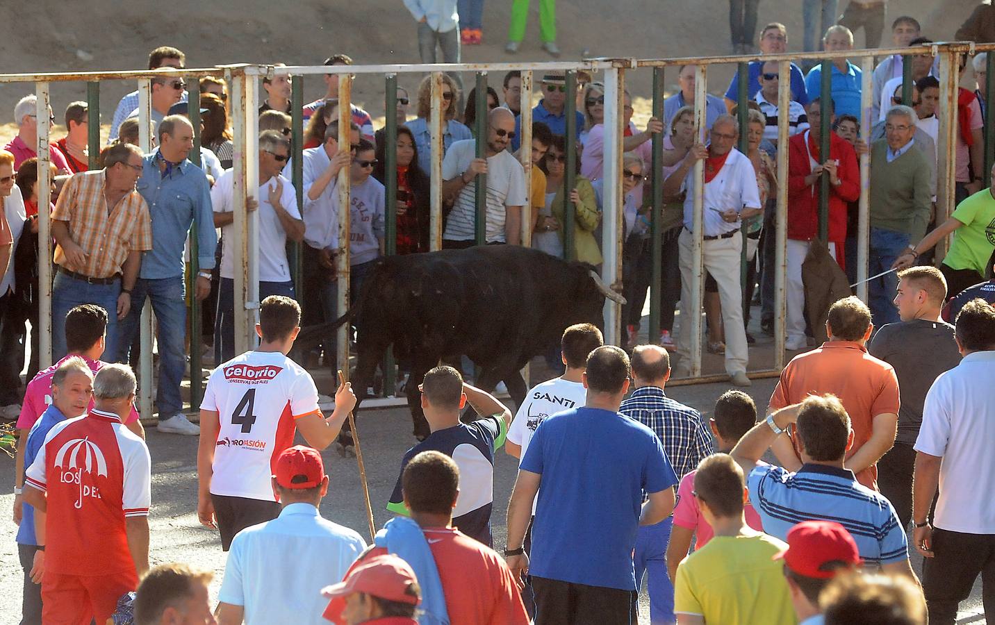 Último encierro de las fiestas de Olmedo