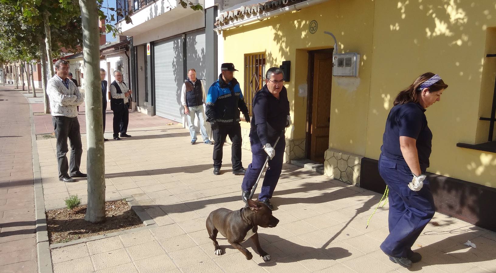 Abandona a su pitbull en la casa en la que iba a ser desalojada