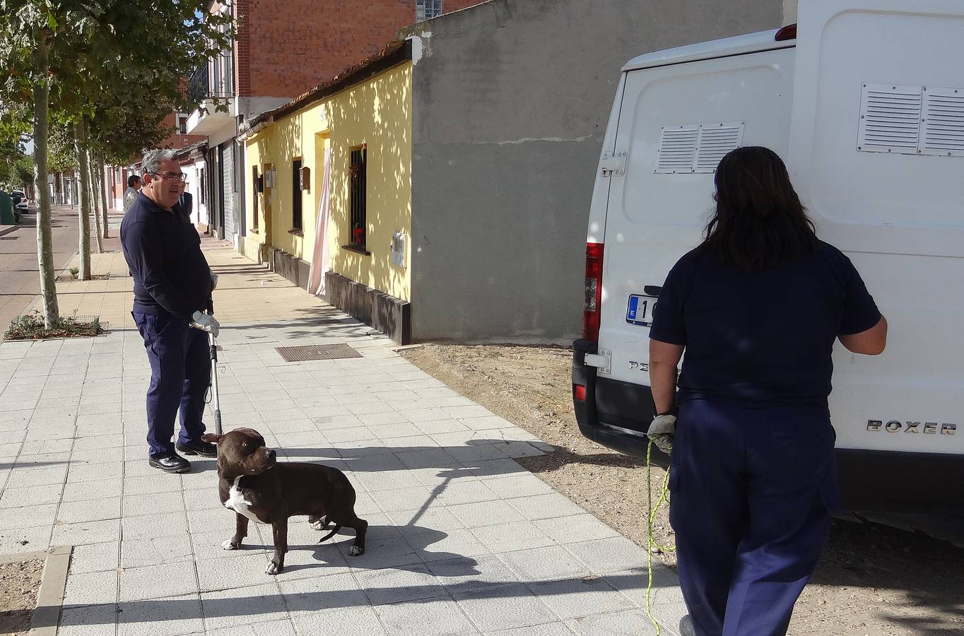 Abandona a su pitbull en la casa en la que iba a ser desalojada