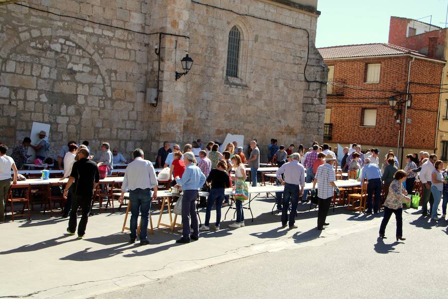 Fiesta de la vendimia en Castrillo de Don Juan (Palencia)