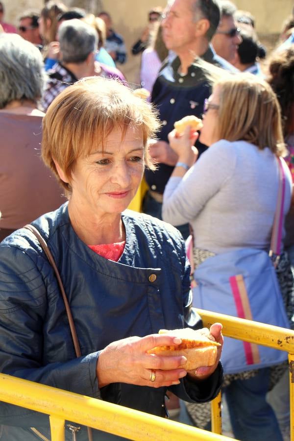 XIII Feria de la Cebolla Horcal de Palenzuela (2/2)