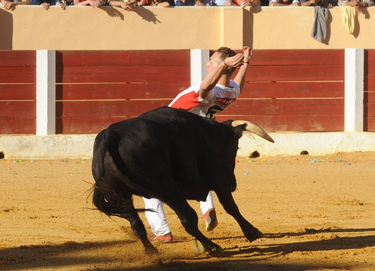 Concurso de cortes de Olmedo