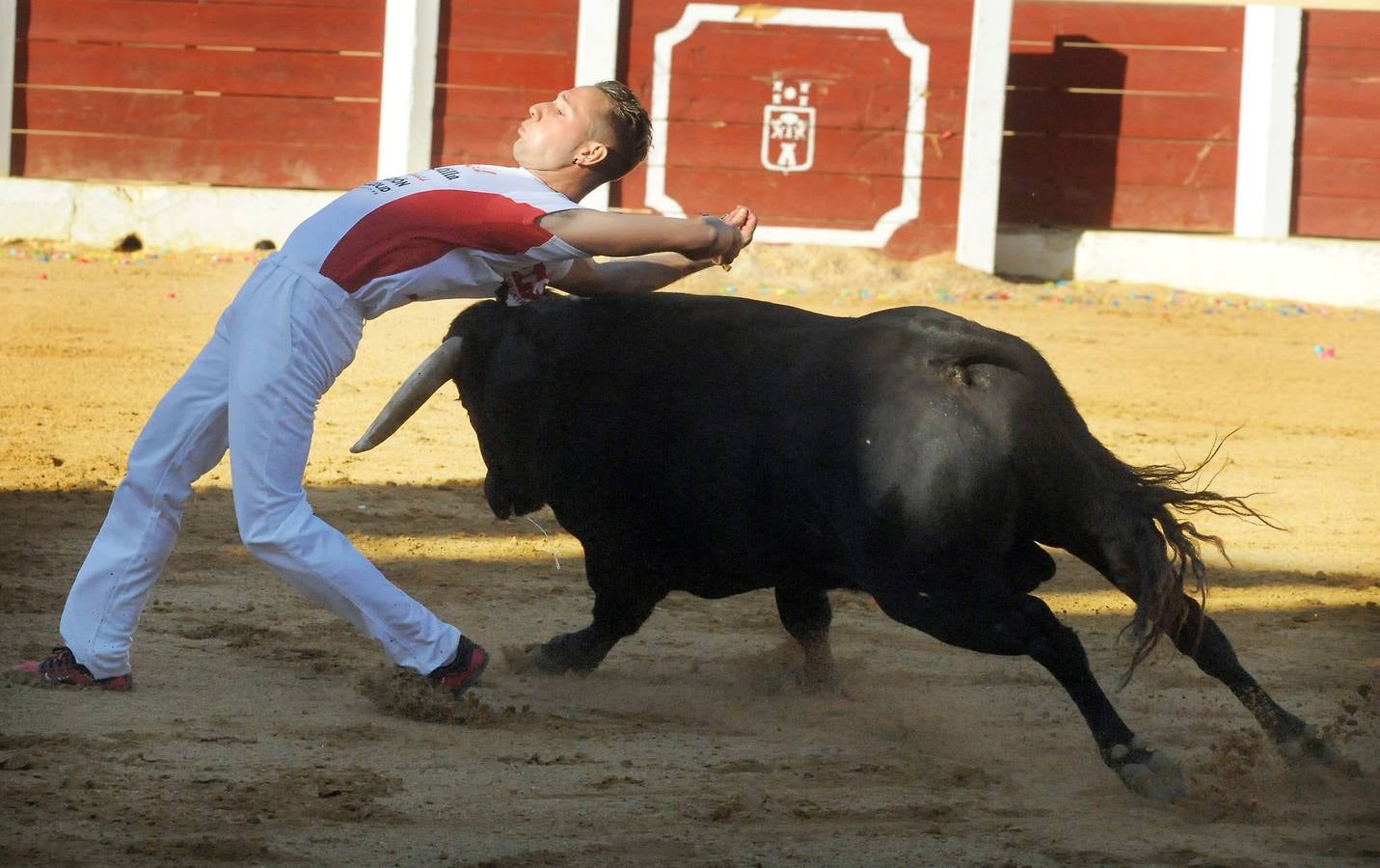Concurso de cortes de Olmedo