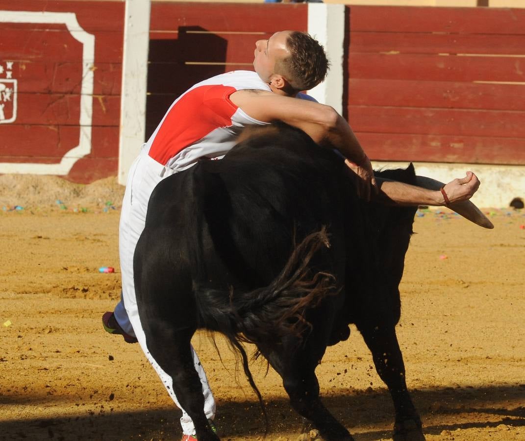 Concurso de cortes de Olmedo
