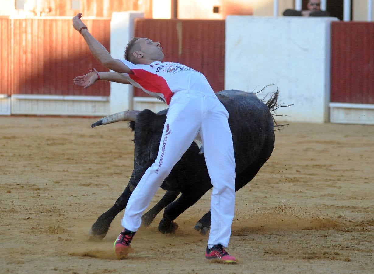 Concurso de cortes de Olmedo
