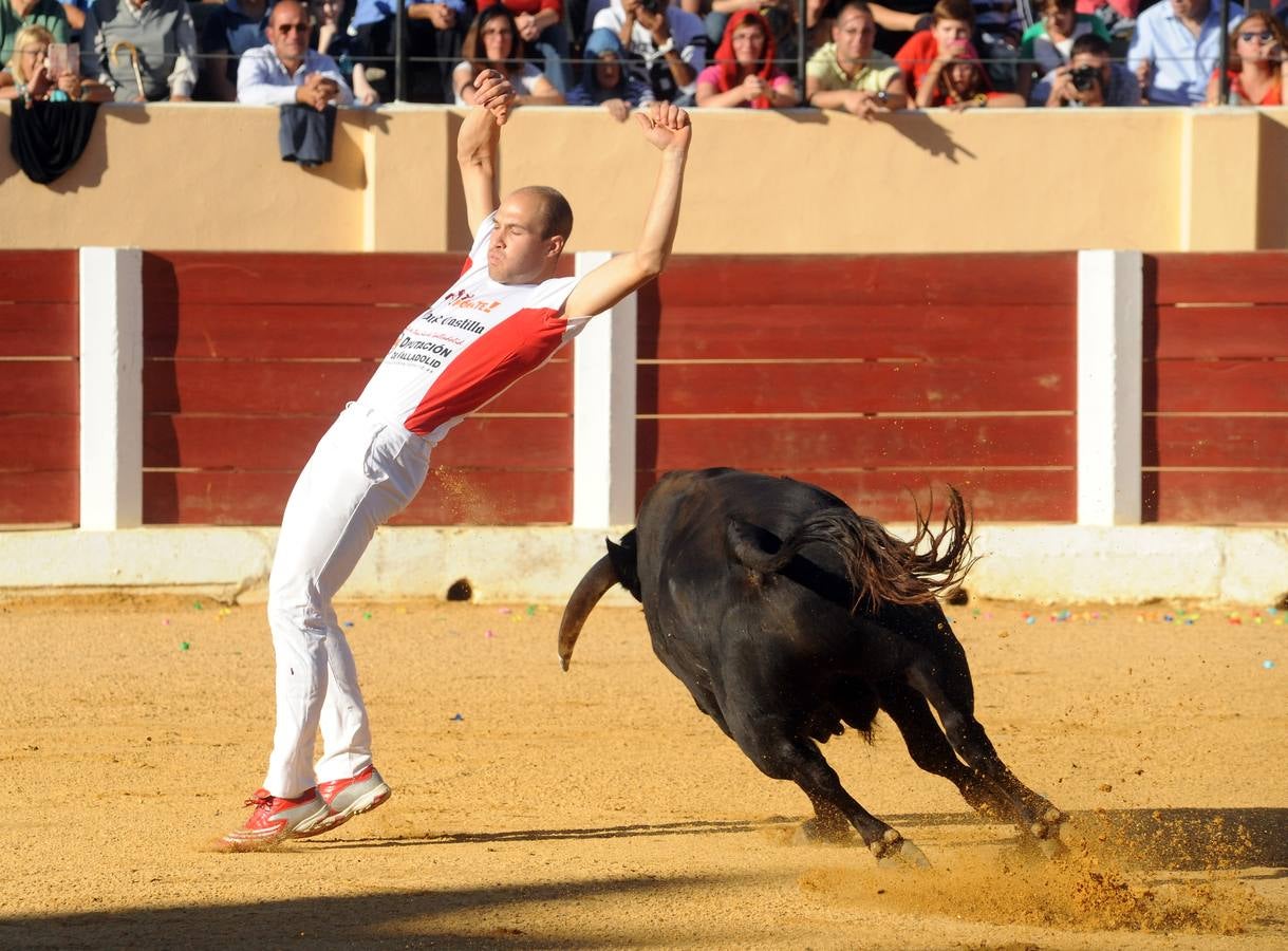 Concurso de cortes de Olmedo