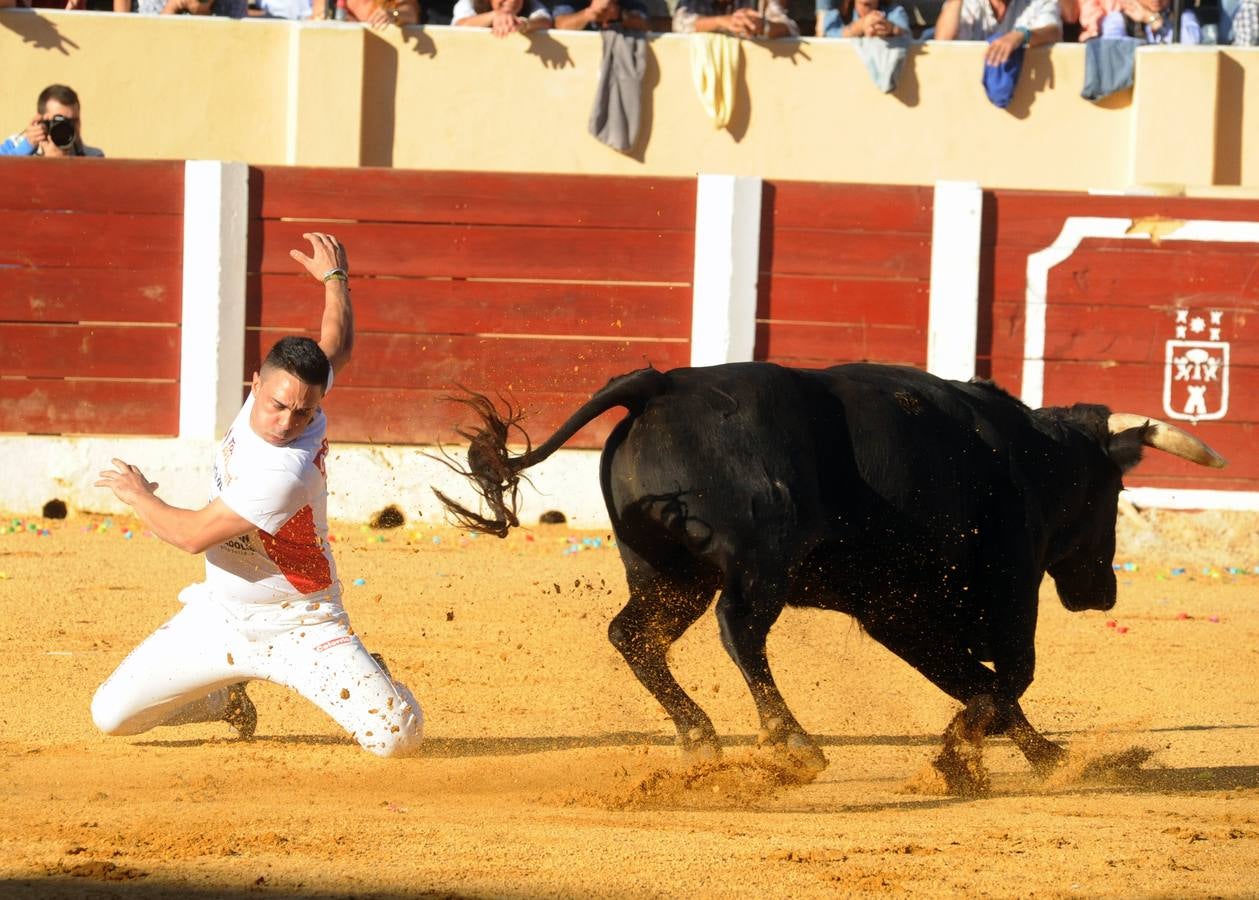 Concurso de cortes de Olmedo