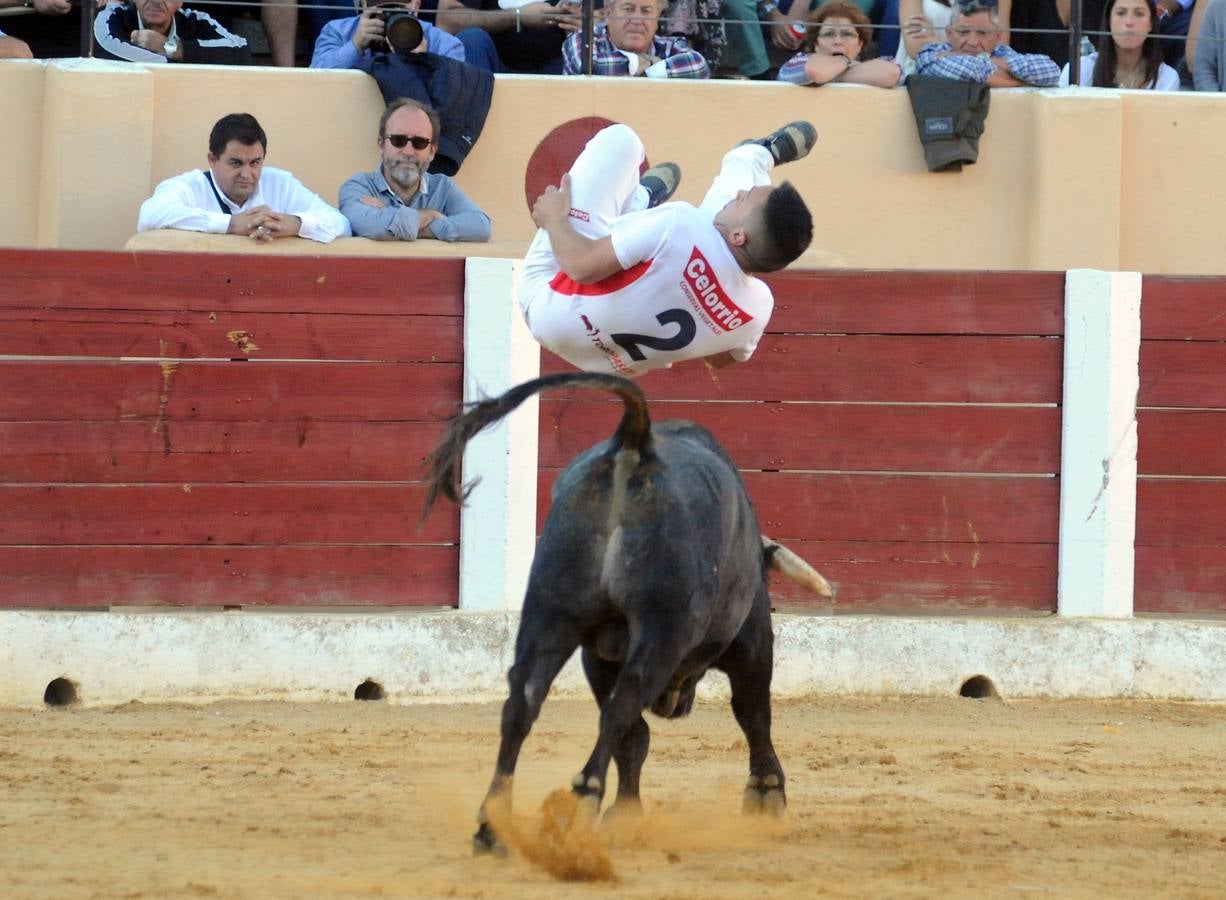 Concurso de cortes de Olmedo