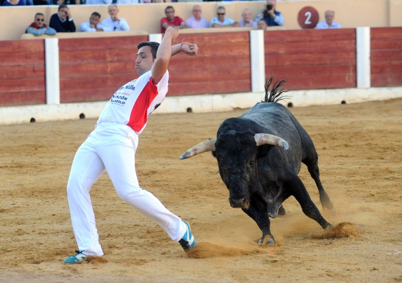 Concurso de cortes de Olmedo