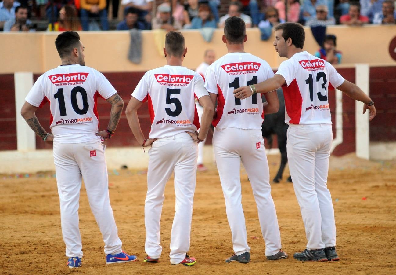 Concurso de cortes de Olmedo