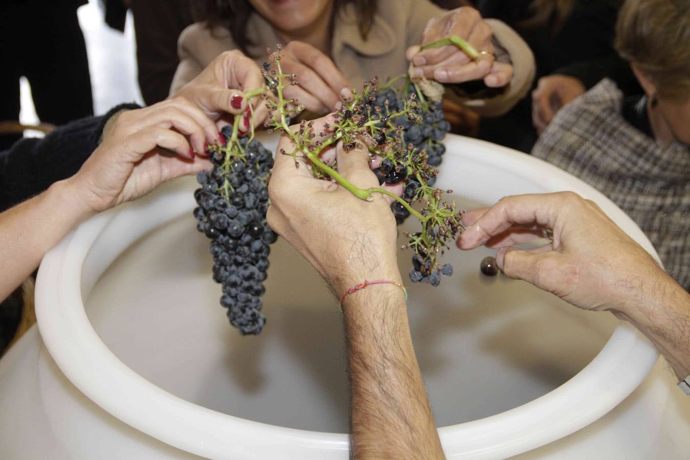 Homenaje a Mariemma en las Bodegas Arbás de Piñel de Arriba (1/2)