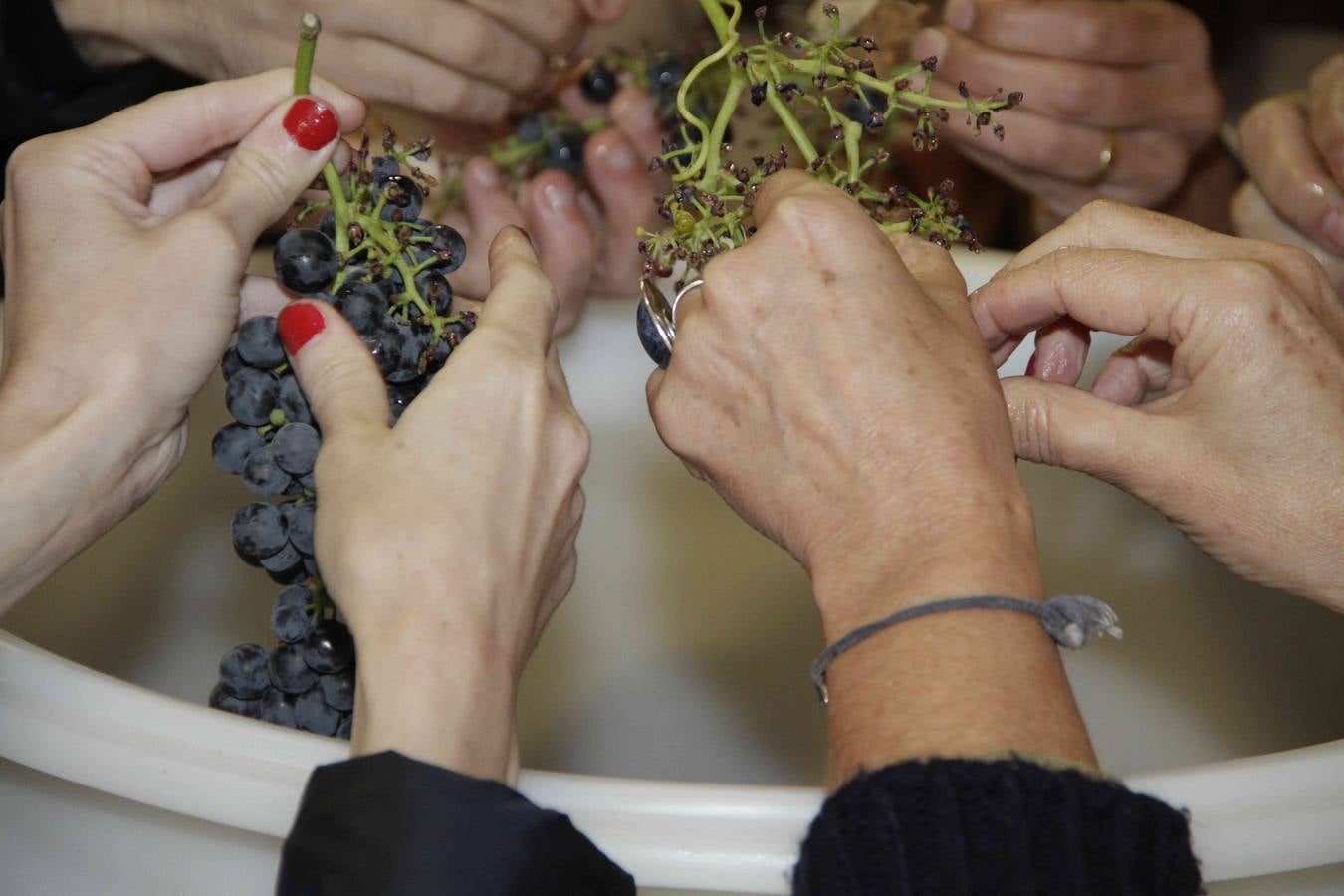 Homenaje a Mariemma en las Bodegas Arbás de Piñel de Arriba (1/2)