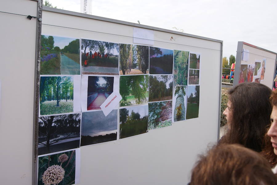 Una mañana por la ribera de Arroyo (2/3)