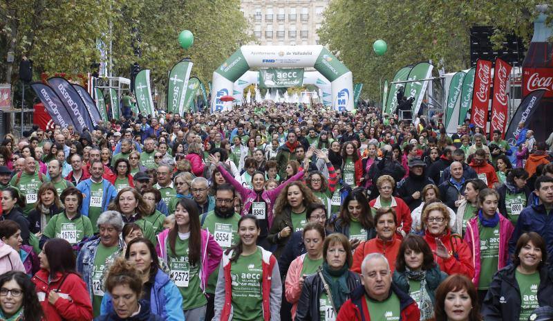 Marcha solidaria contra el cáncer en Valladolid (Fotos 16)