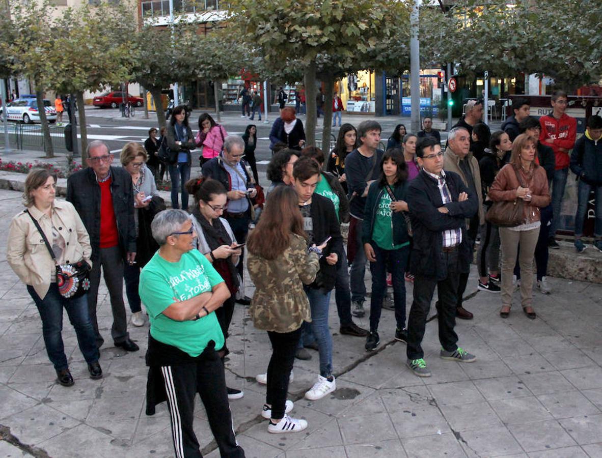 Manifestación contra la reforma de la educación en Palencia