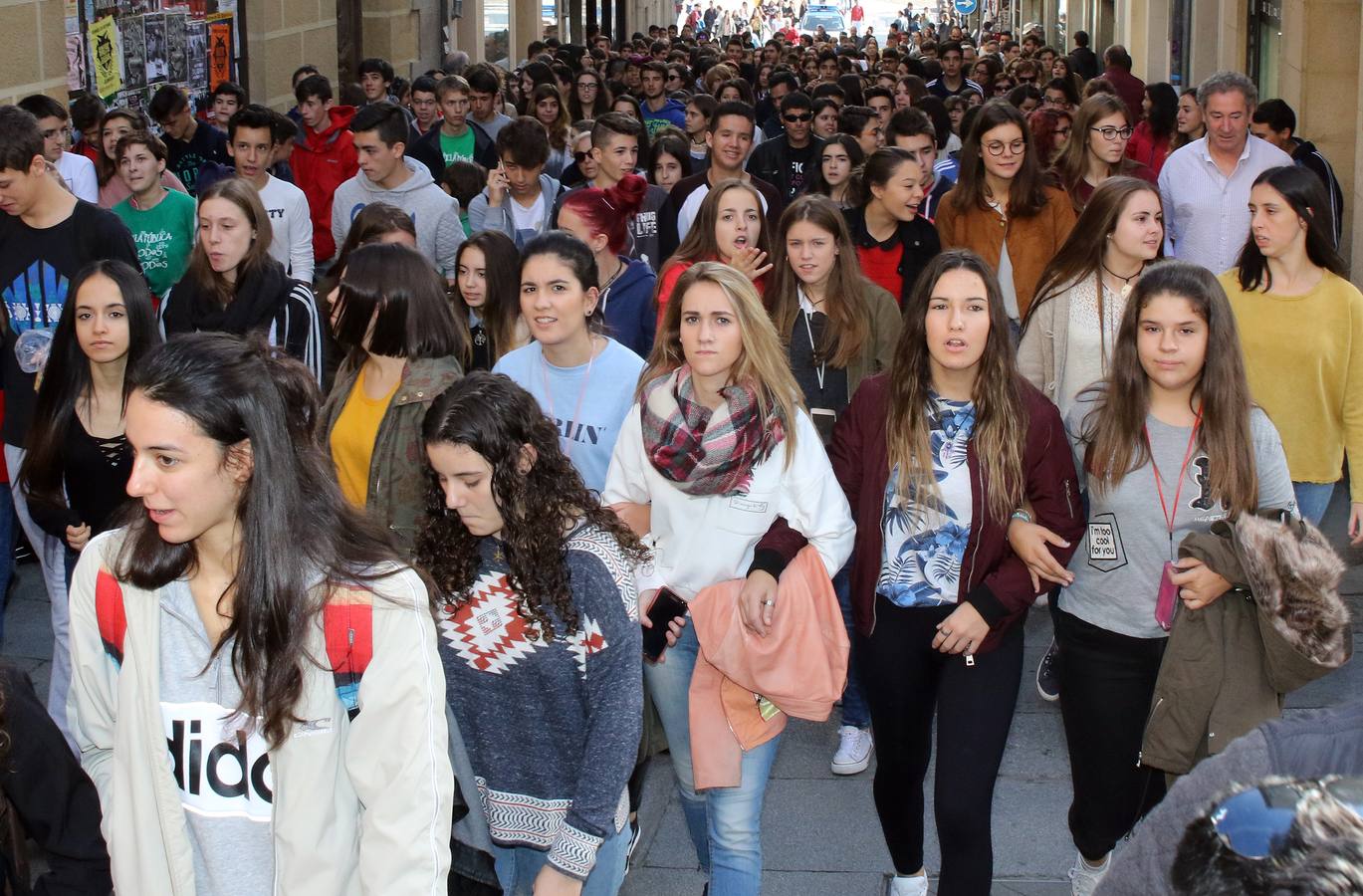 Los estudiantes segovianos se manifiestan contra la Lomce