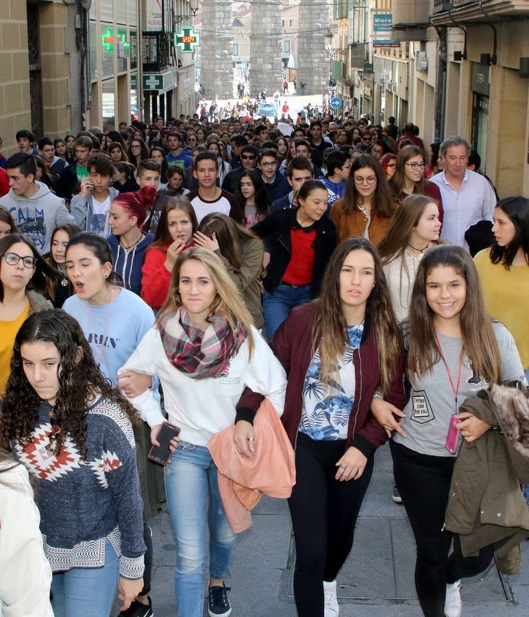 Los estudiantes segovianos se manifiestan contra la Lomce