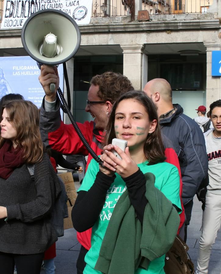 Los estudiantes segovianos se manifiestan contra la Lomce