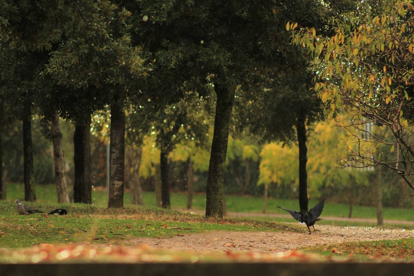 Otoño en Valladolid