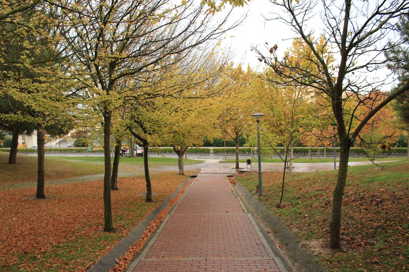 Otoño en Valladolid