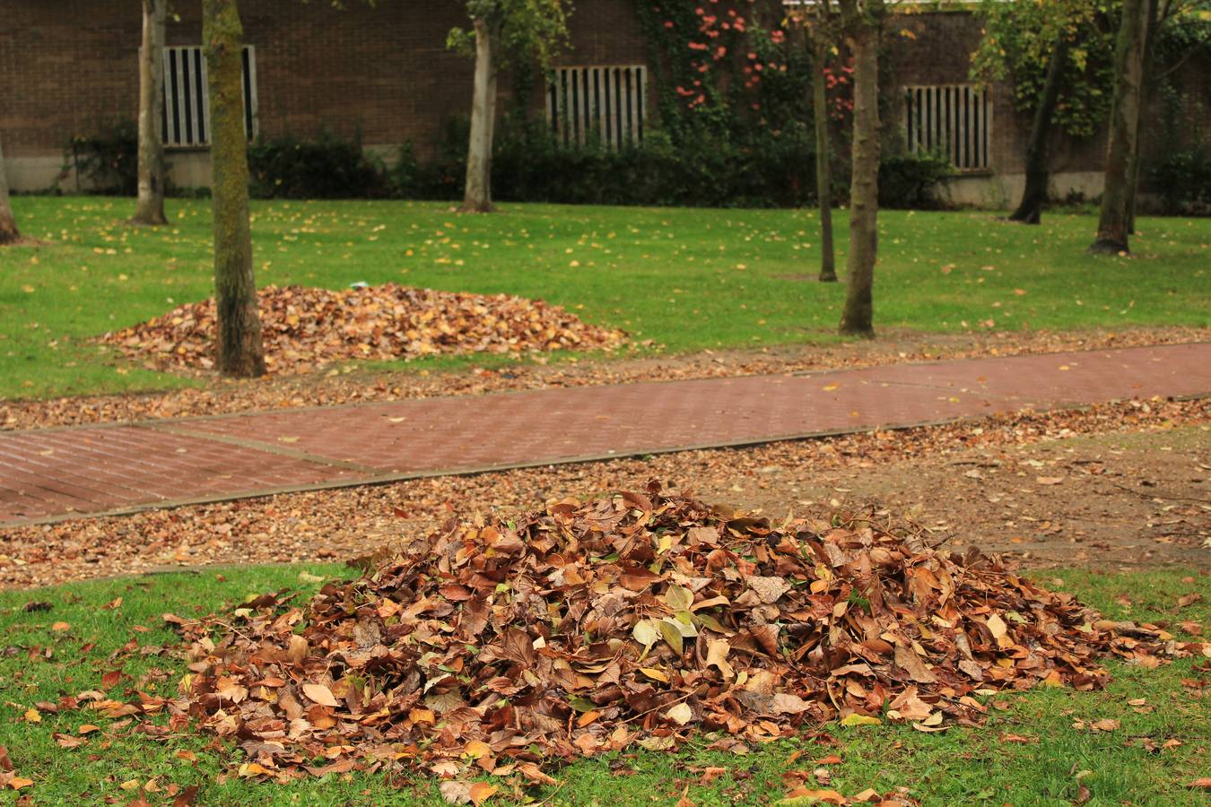 Otoño en Valladolid