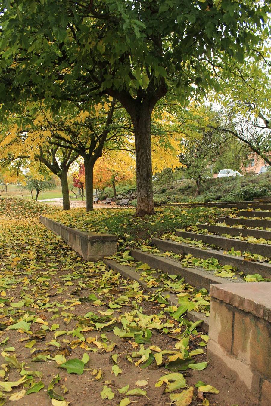 Otoño en Valladolid