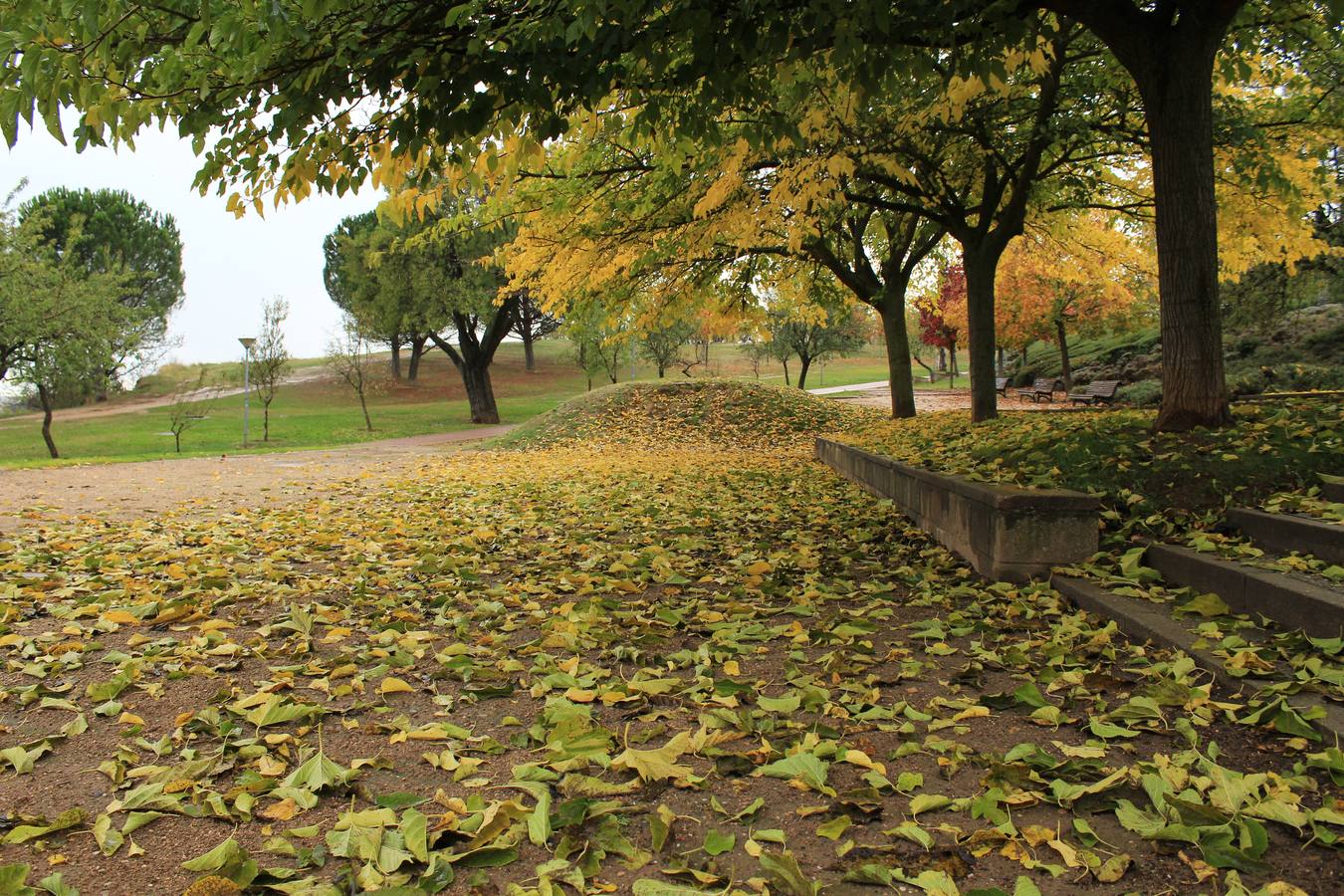 Otoño en Valladolid