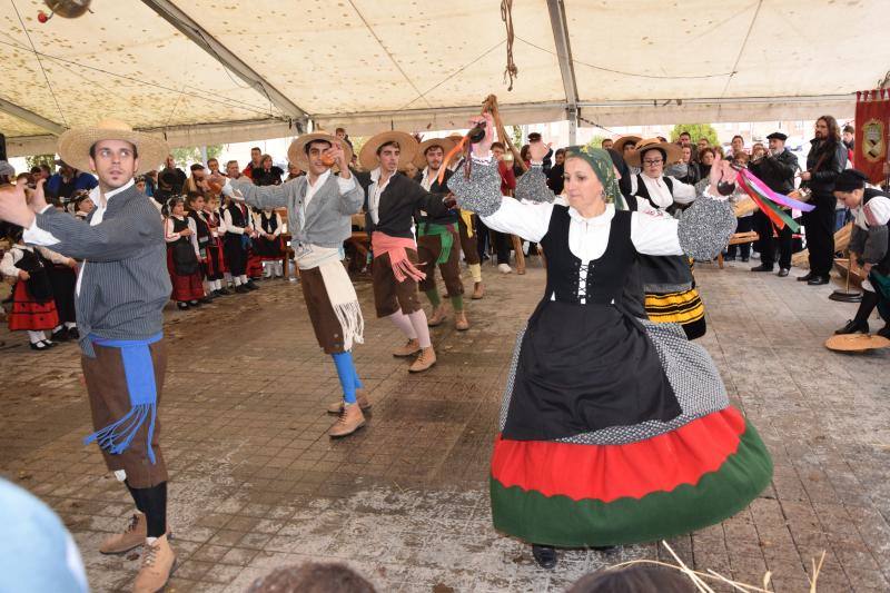 Jornadas de la matanza del cerdo en Guardo (Palencia)