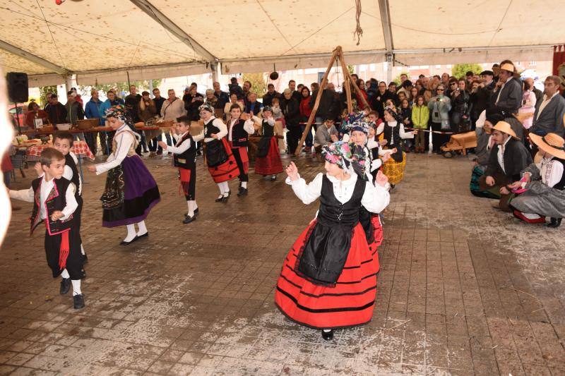 Jornadas de la matanza del cerdo en Guardo (Palencia)