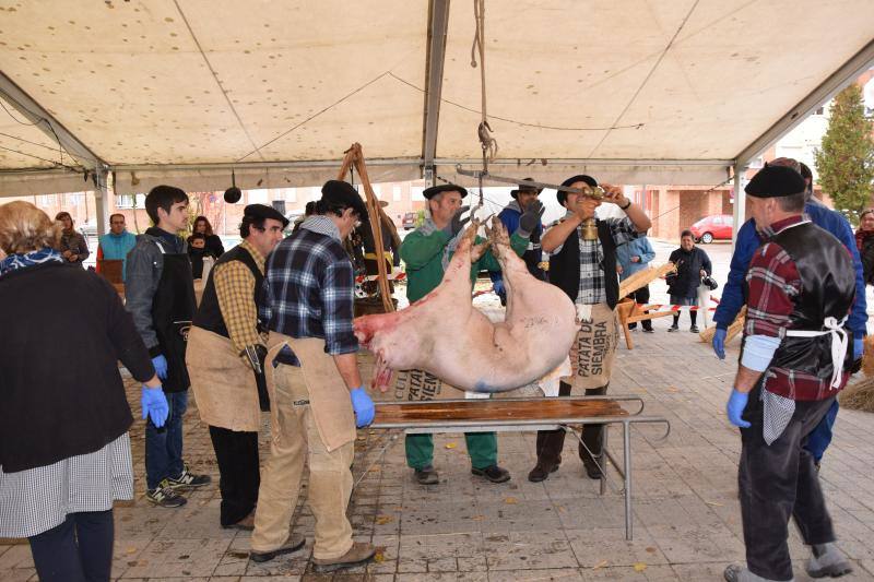 Jornadas de la matanza del cerdo en Guardo (Palencia)