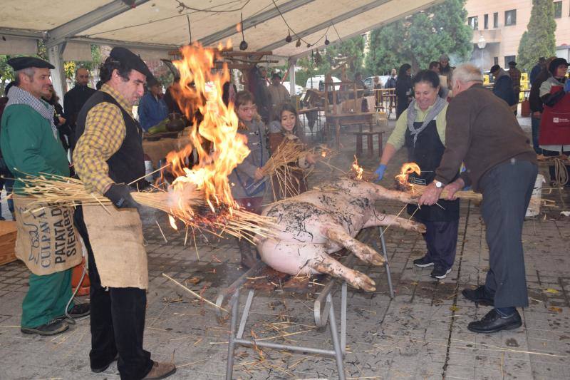 Jornadas de la matanza del cerdo en Guardo (Palencia)