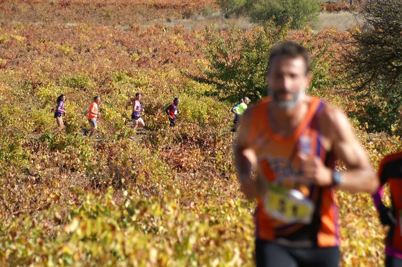 Mucientes acoge la sexta y última prueba del Circuito &#039;Corriendo entre Viñas&#039;
