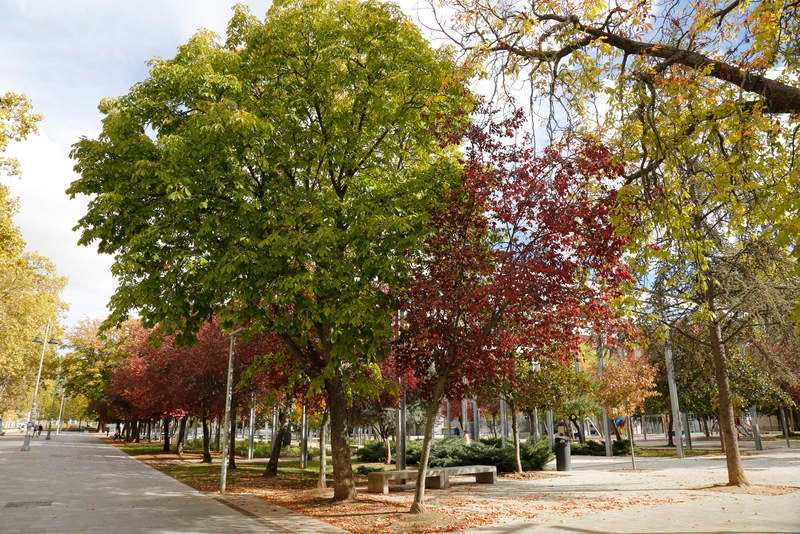 Palencia se viste de otoño