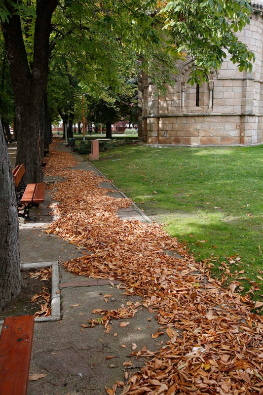 Palencia se viste de otoño