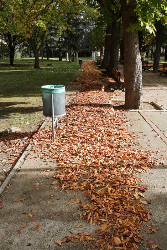 Palencia se viste de otoño
