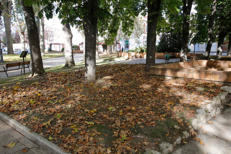 Palencia se viste de otoño