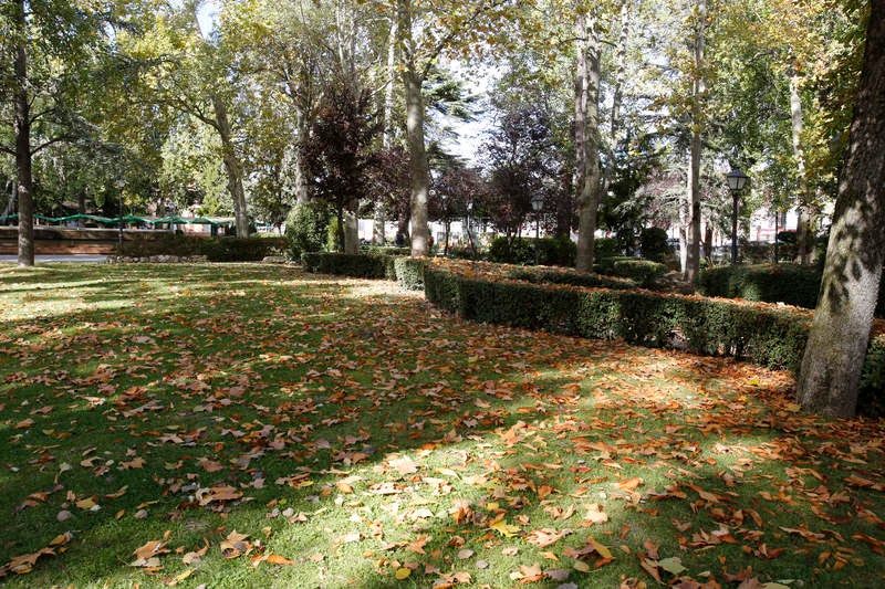 Palencia se viste de otoño