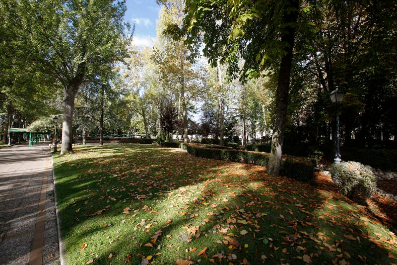 Palencia se viste de otoño