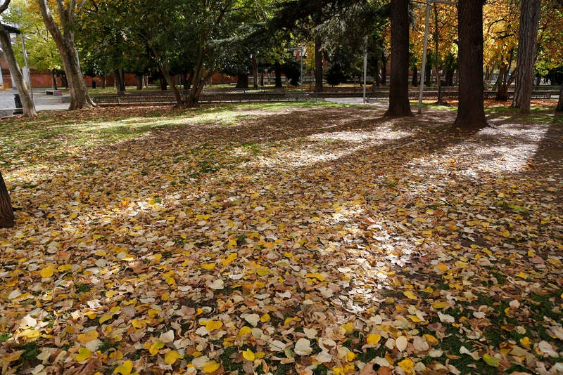 Palencia se viste de otoño