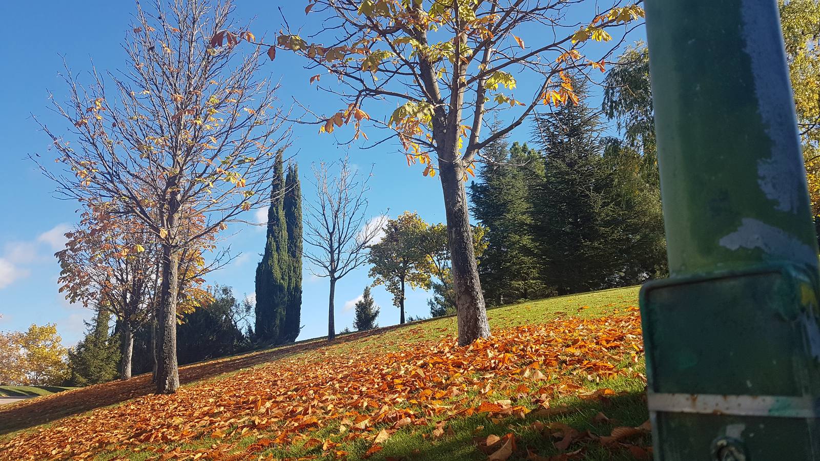 Valladolid se viste de otoño