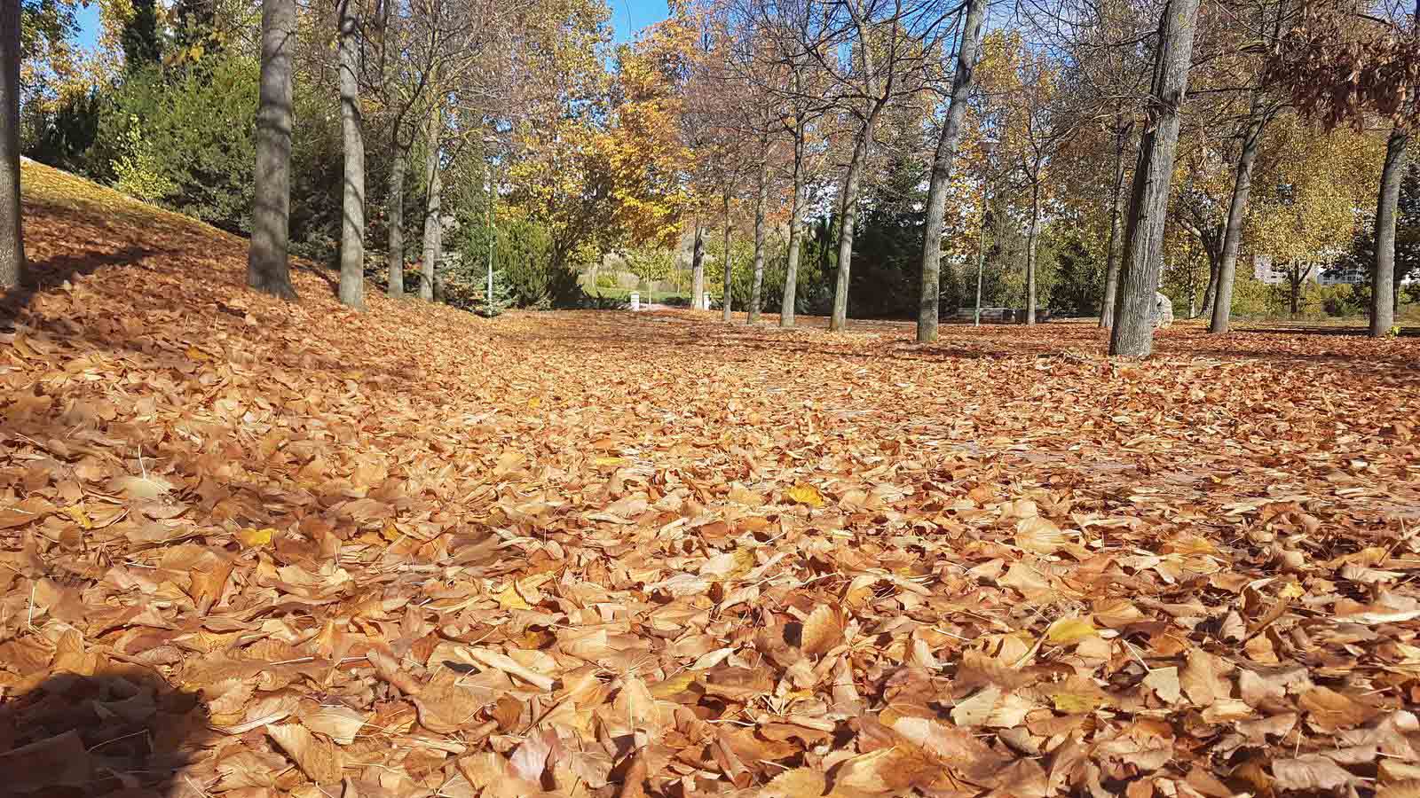 Valladolid se viste de otoño